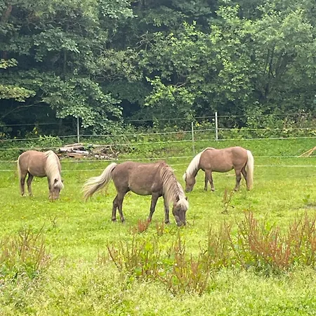 Kurze Wege Braunlage