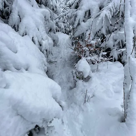 Kurze Wege Braunlage