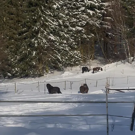 Kurze Wege * Braunlage