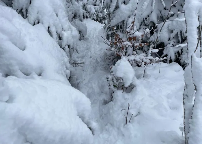 Kurze Wege Браунлаге