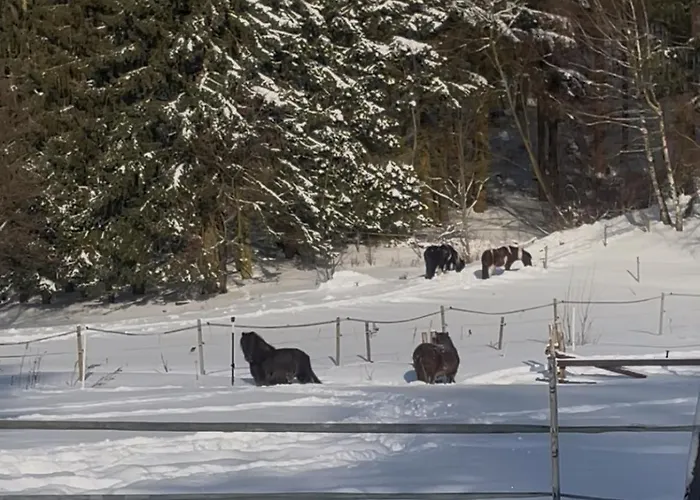 Kurze Wege * Браунлаге